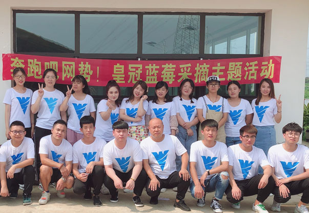 【奔跑吧網(wǎng)勢(shì)！】藍(lán)莓采摘主題團(tuán)建活動(dòng)