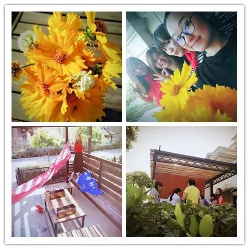 網(wǎng)勢(shì)科技6周歲生日快樂(lè)！