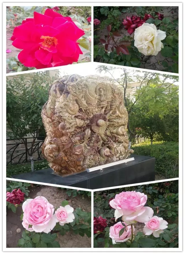 網(wǎng)勢(shì)科技6周歲生日快樂(lè)！